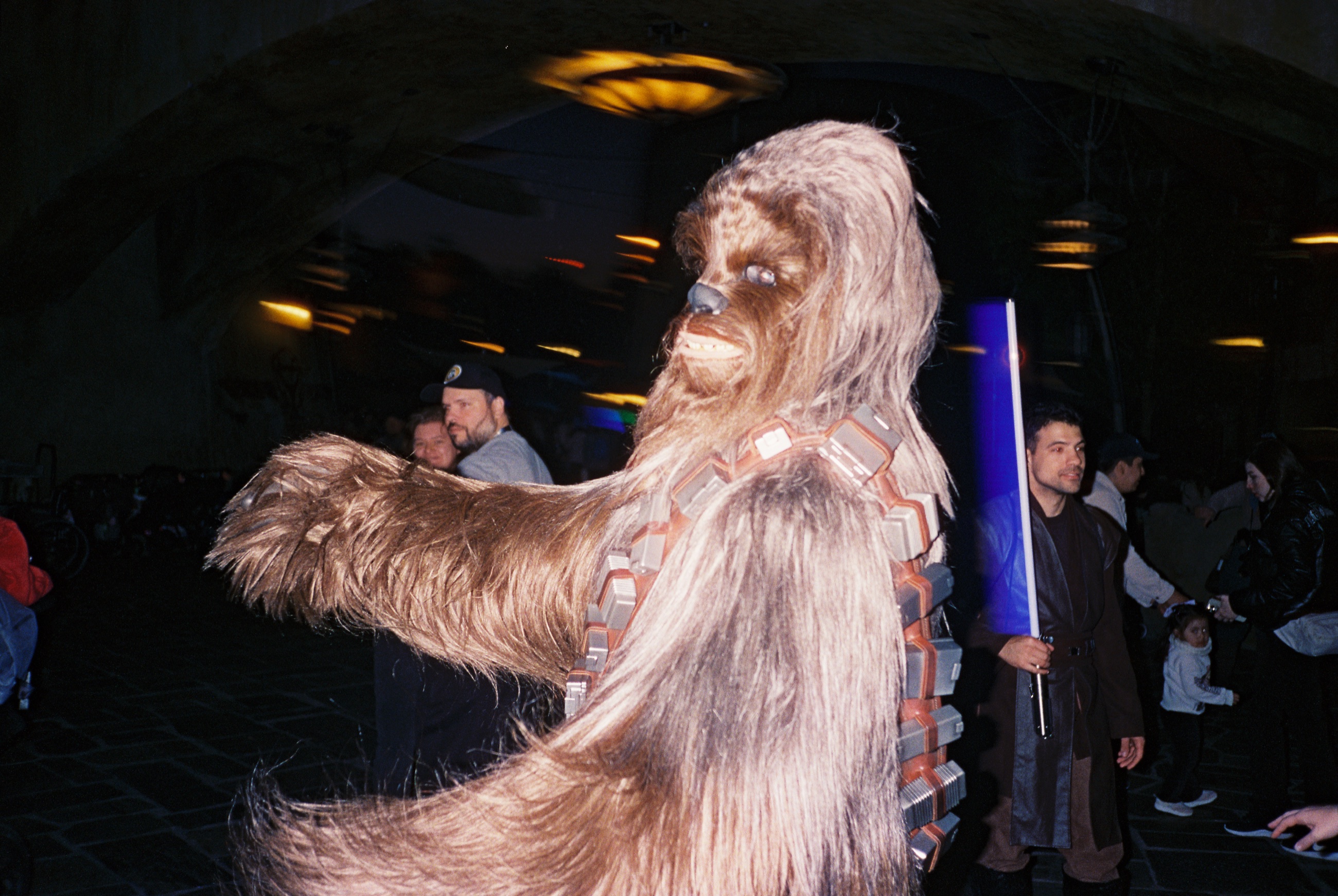 Theme park scene 08